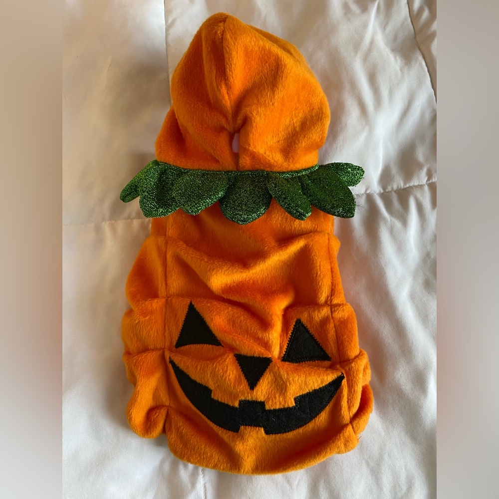 Adorable pumpkin dog costume. Size S EUC